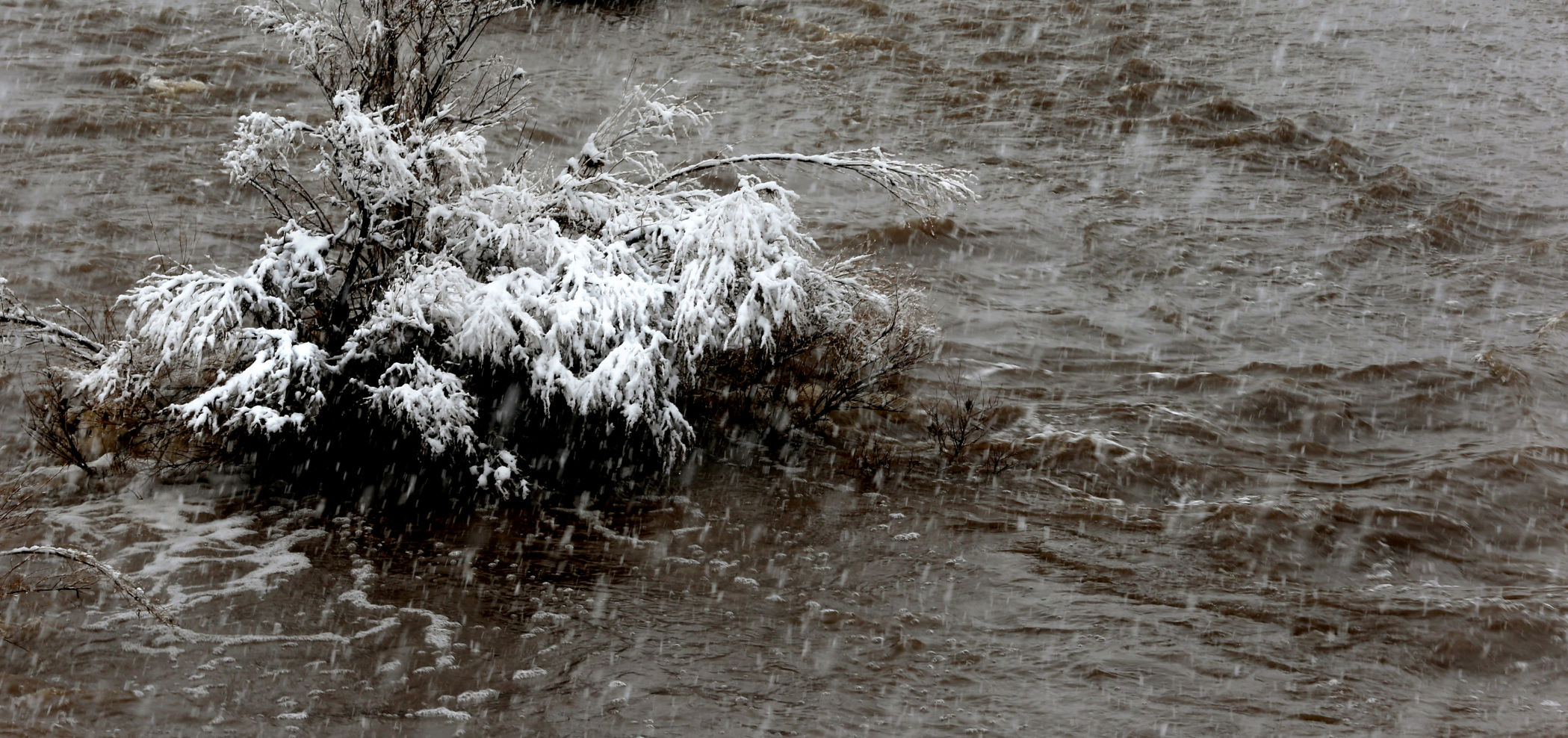 Snow across Tucson